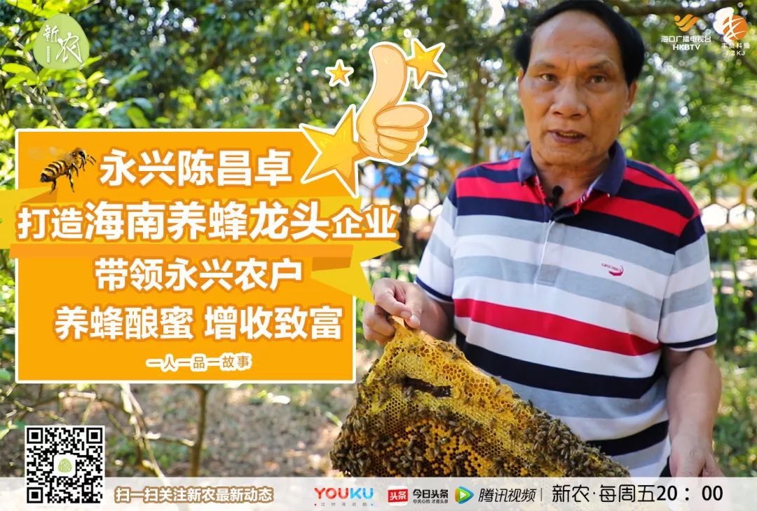 新农|海南“蜂王”陈昌卓打造蜜蜂王国 带领永兴