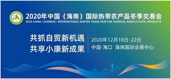 2020海南国际热带农产品冬季交易会—相约卓津，